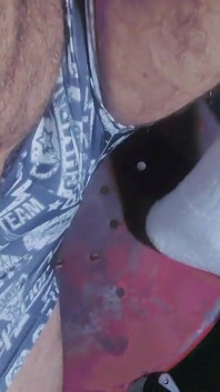 Grijze Boxer en Witte Sokken (video 1)