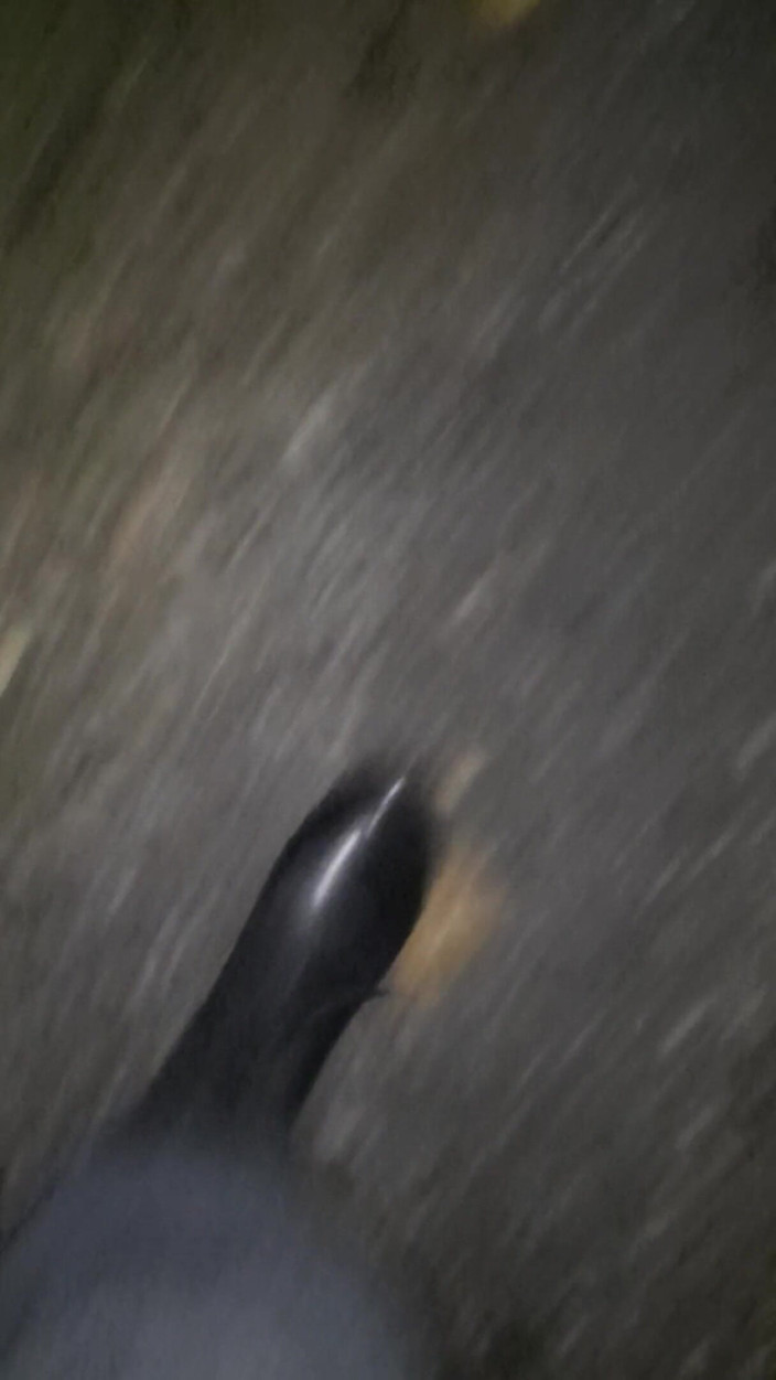 SinDee: Rubberboots walking
