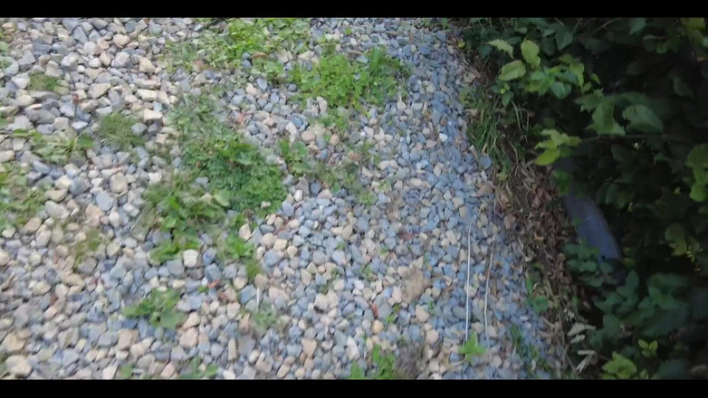 English Psycho: Hot Blonde Trans Girl Lily Adick Gets Fucked in the...