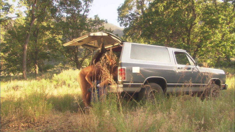 Dirty fantasy: Stepmom fucked next to car during summer picnic