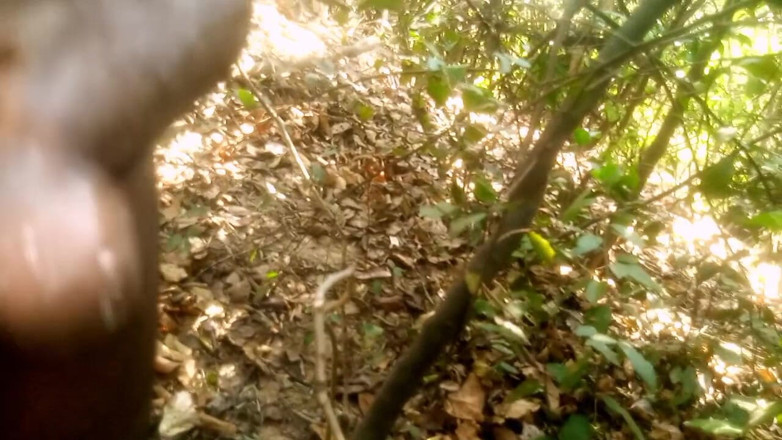 Judith xxx: Travel bush
