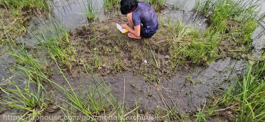 ArchiRusik: Saya meniduri Elf Sissy, seorang femboy yang sedang memancing, menyematkannya...