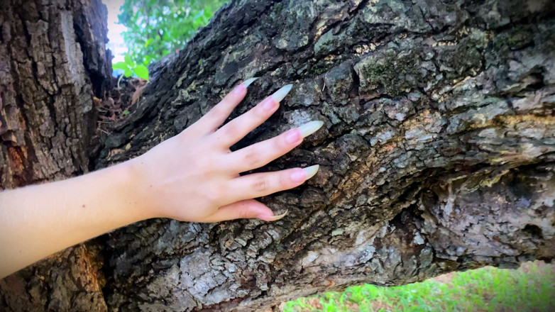 Goddess Li: Długie, naturalne paznokcie drapiące drzewo