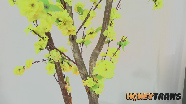 Wonder Shemale: 饥渴的变性人辣妹在自慰时享受肛门插入