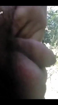 Pissing in My Backyard