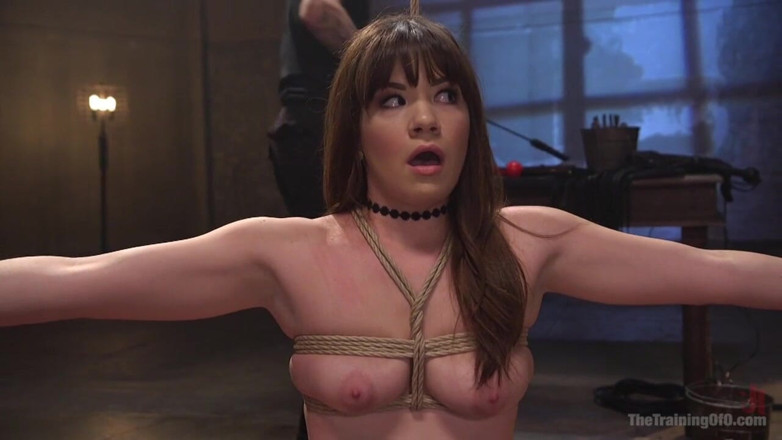 The Training of O by Kink: Výcvik otroků Alison Rey