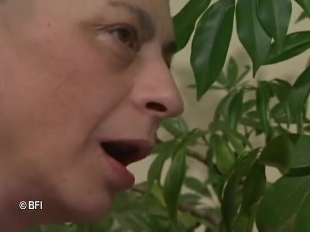Nasty matures and dirty grannies club: Nenek menjadi liar 1