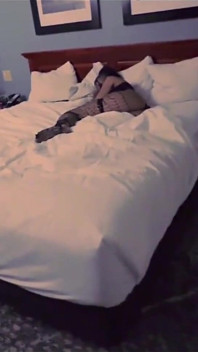 Schwarze teen stieftochter teilt ein hotelbett mit stiefvater und verführt ihn, sie zu besamen x realmaxxxsteele