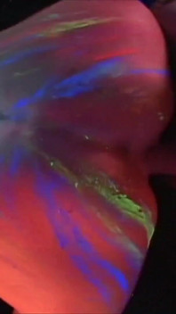 Ilumina tu vibra - blacklight body paint sex
