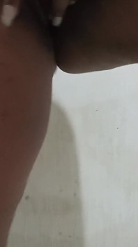 बिल्‍ली