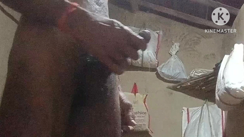 vijay Yadav: 9인치 페니스로 따먹히는 바비