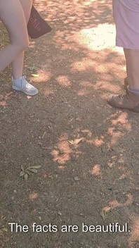 Jdu do lesa, abych mě ošukal walkers !!