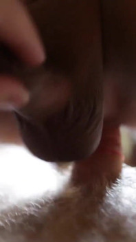 Tiny Thai piece of ass gets fucked