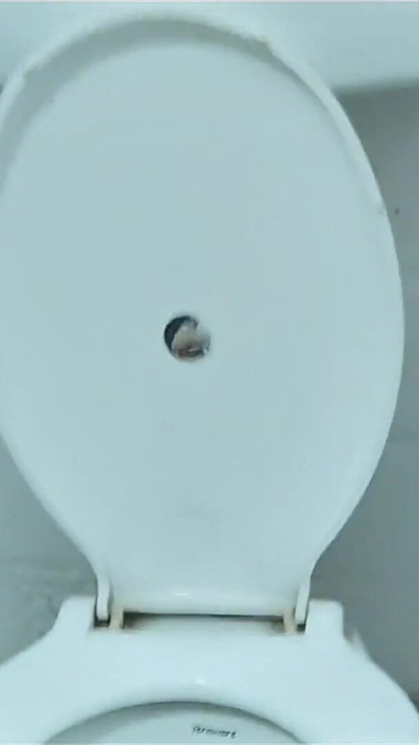 My Step Brother Fucked Me in the Bathroom When I Was Alone at Home (Shruti Stream Studio) My Step Brother Fucked Me in the Bathroom When I Was Alone at Home (Shruti Stream Studio)
