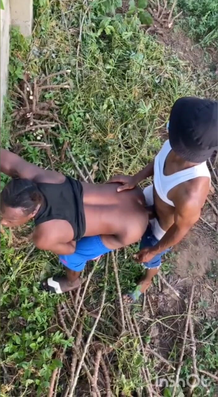 Chief_daddyy: Тип C для типу C Трансмісія.