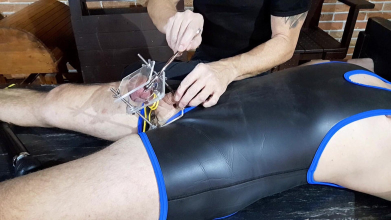 Master Drex: Juguete para bolas
