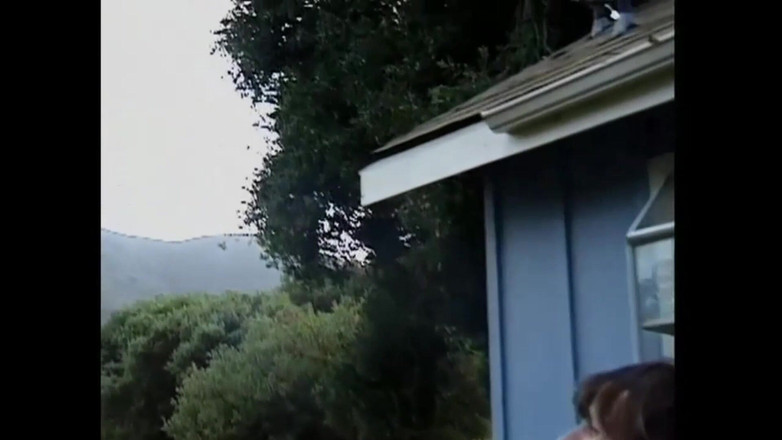 FM Video films: Tom'un kabini (tam film)