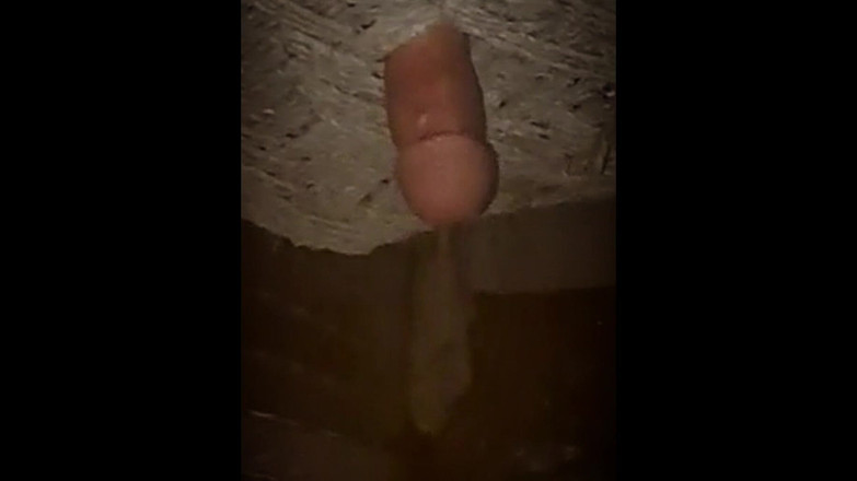 Desi_Porn_India: Min nya heta spermasprut samlingsvideo.