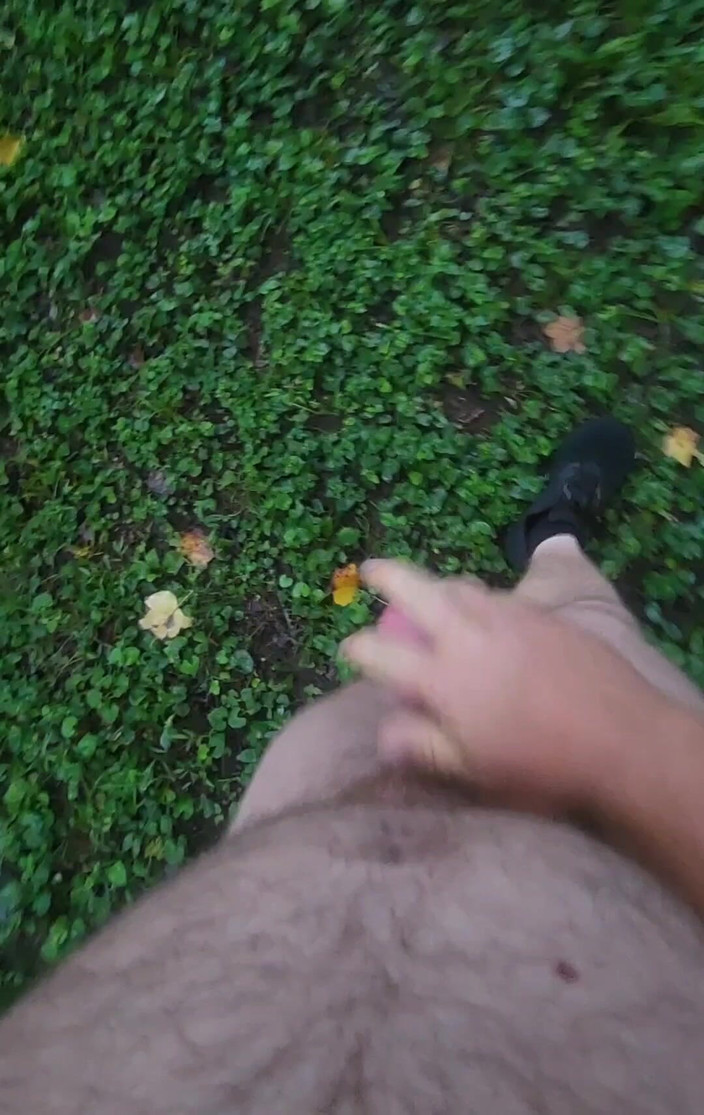 Djk31314: Parkta sabah erken yürüyüşü