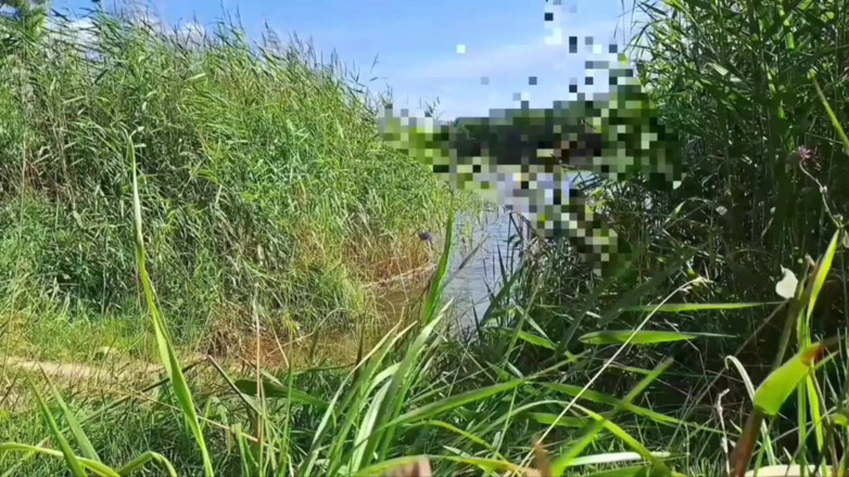 Ole63: Eu gosto da natureza e masturbo meu pau.