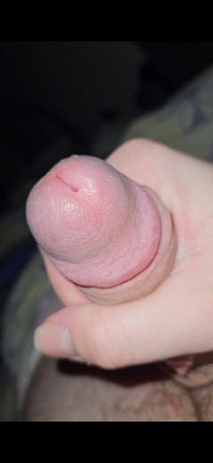 Fluffy Boi: Nur eine schnelle wichs-session