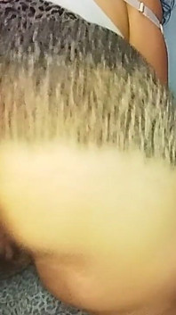 Baculatá kočka tančí Funk