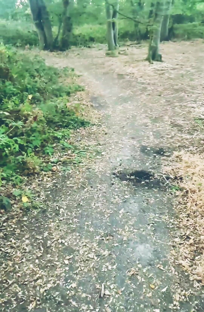 MaleModel: POV Naked Walk in the Woods