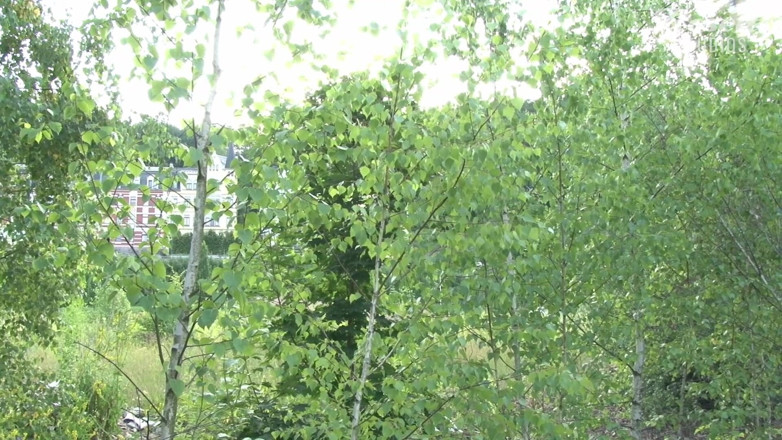 Rosetti: Geirrt outdoor 3er