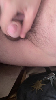 手淫 340