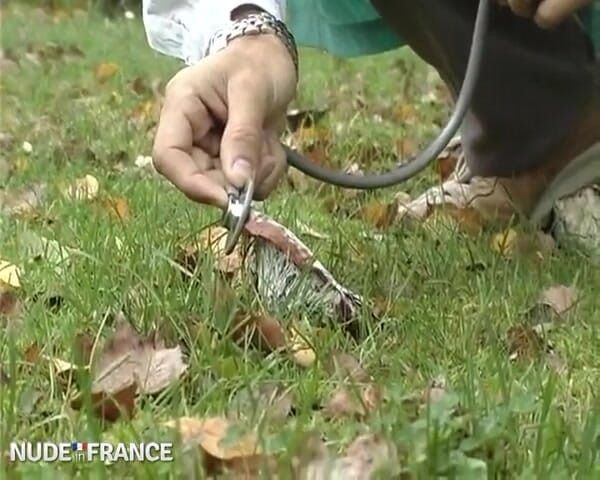 La France a Poil: Хіба ця красива медсестра не скористається своїм статусом?