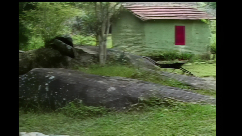 Shemale Vintage MegaStore: Uomo Trans Che Scopa