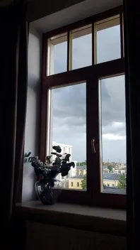 Nice Day