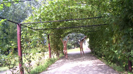 Maledom Austria: EXOTIC FRUIT