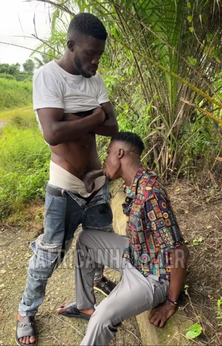 AFRICANHAMMER1: Exterior