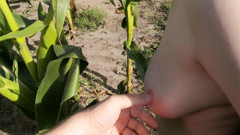 Bouncy Tits Action: Slap me in the corn field