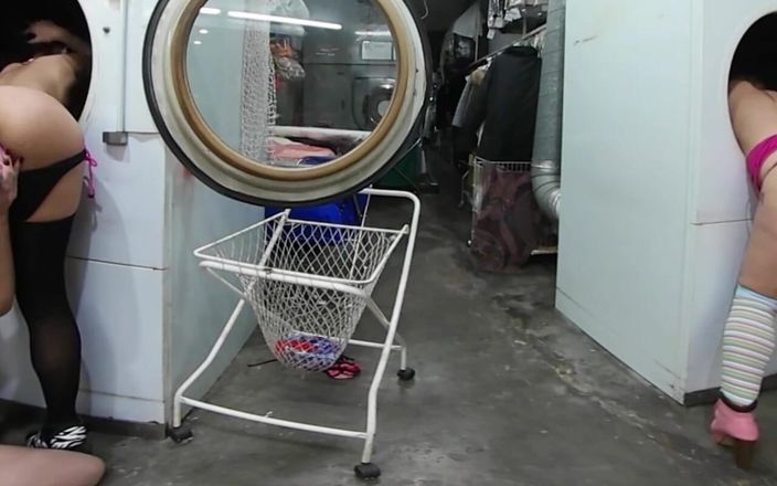 Thagson VR 360: Quatro garotas muito gostosas na lavanderia começam a usar seus...