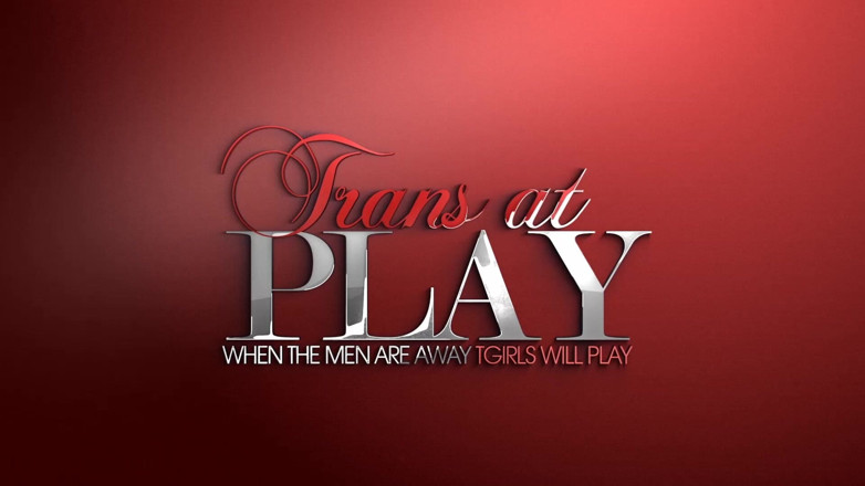 Trans 500: Pamela's Playtime - Jerkin Thst Shecock
