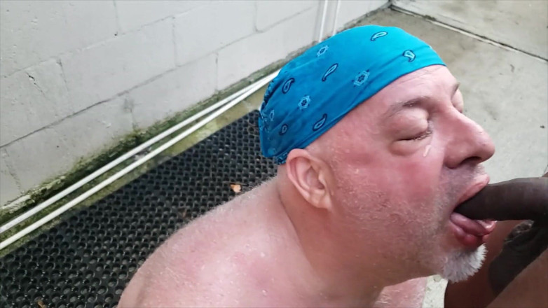 beardaddychub: Urso fica mijado por BBC