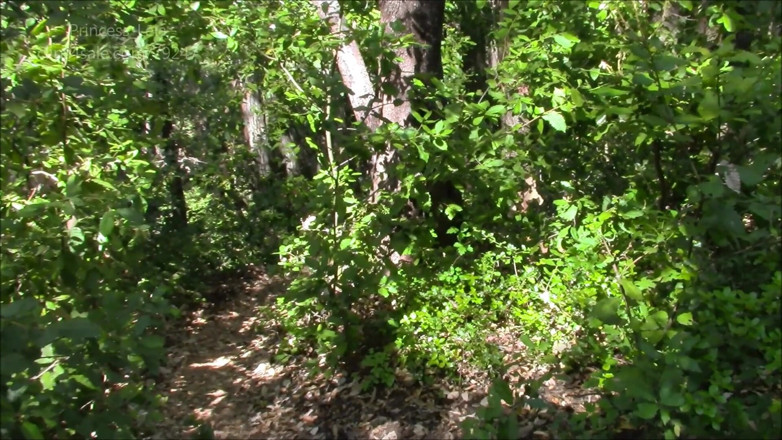 Princess Leia: Deep forest blowjob with stepdad