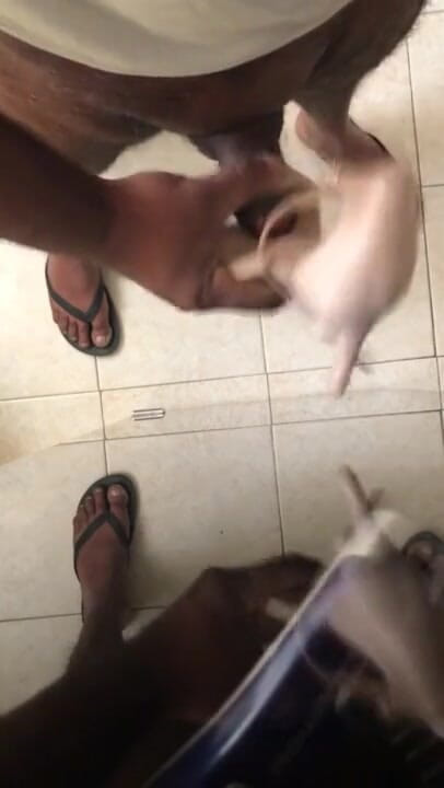Sexy sereppu: Masturbating with a High Heel Shoe