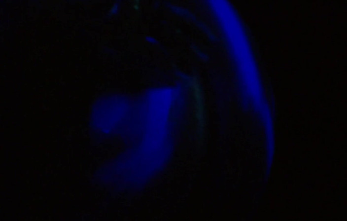 Radical Lesbian: fluorescent body paint girls.