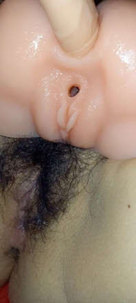 Labubu Tourist Doll Hairy Pussy North Korea
