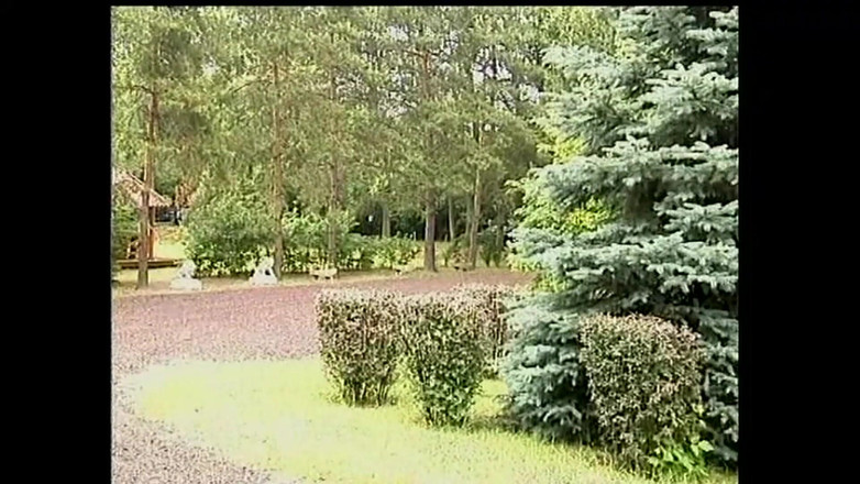 Muschi movie official: Cinzia Gibt Es Allen