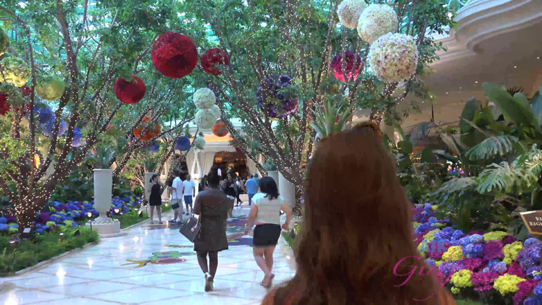 ATK Fans (Girlfriends): Virtual vacation in las vegas with cassidy banks part 1