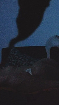 Doggy During Hot Summer Nights