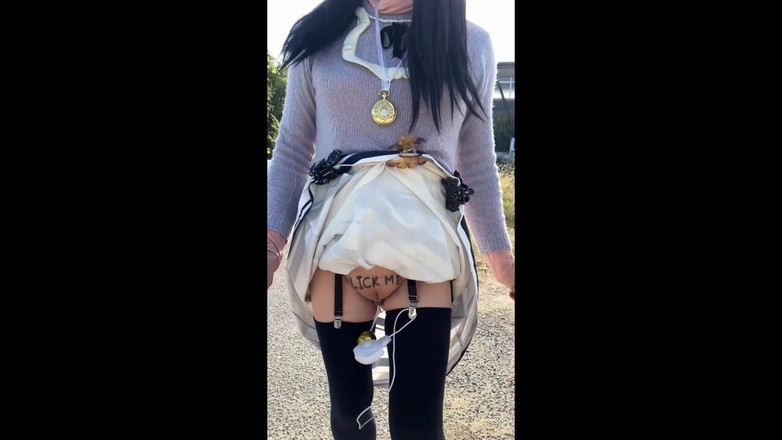 megu2002: Istruzioni dall'allenatore n. 11 esposizione giornaliera cammina