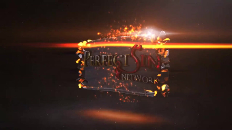 Perfect Sin Network: Hasar