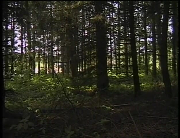 MMV Films and Clips XXX: Evil Girl Final Destination (full Movie)