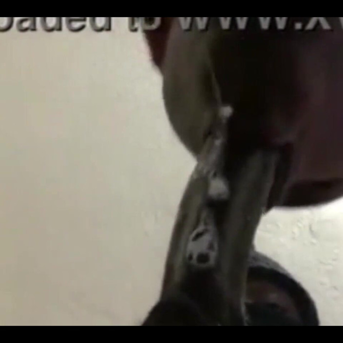 Pperfect lips: 完璧な唇で超スロッピーフェラチオ