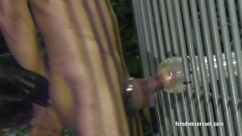 Femdom Servant: Stăpâna Lady Renee și încornoratul Pussyfree